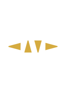 Ayamba LitCast icons